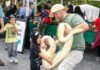 Courtesy photo This charming snake was among the sights at last year’s Annual Eco-Friendly Fair.