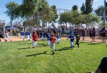 Opening Day Baseball
