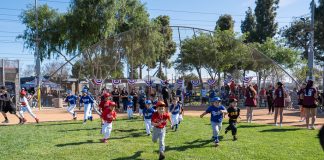 Opening Day Baseball