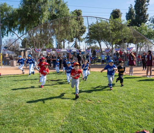 Opening Day Baseball