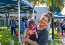 Bark in the Park