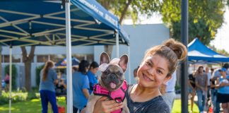 Bark in the Park