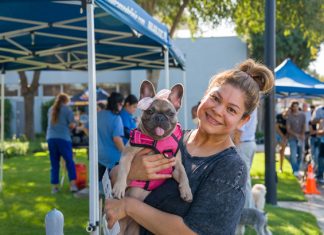 Bark in the Park
