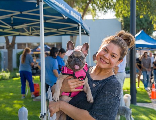 Bark in the Park