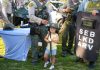 Night Out draws crowd