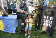 Night Out draws crowd